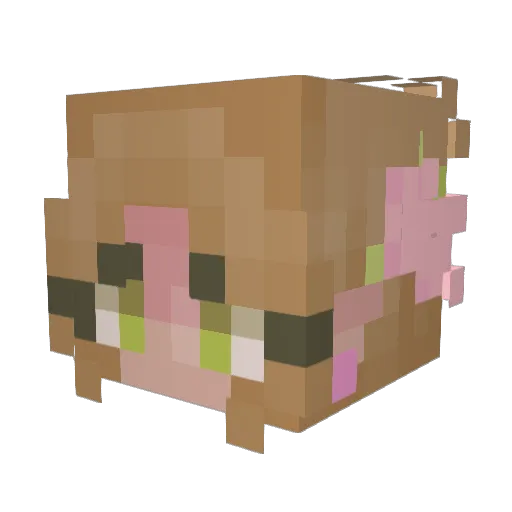 Arevaqq Minecraft avatar head, 3D render