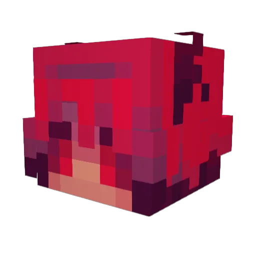 Arg0nV Minecraft avatar head, 3D render