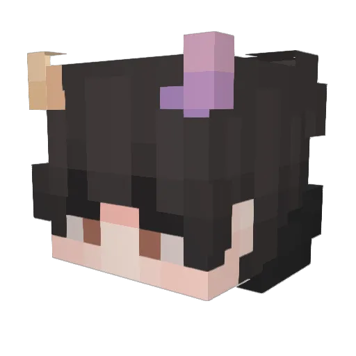 Arg3ntavis Minecraft avatar head, 3D render