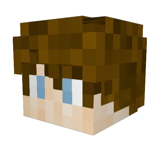 Arger720 Minecraft avatar head, 3D render