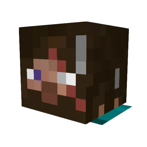 Argon1928 Minecraft avatar head, 3D render