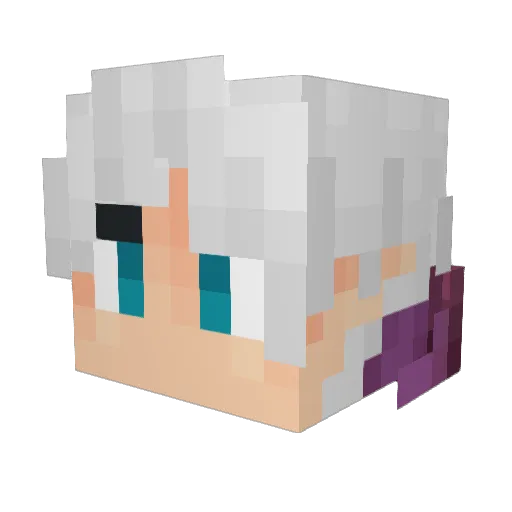 Argon254 Minecraft avatar head, 3D render