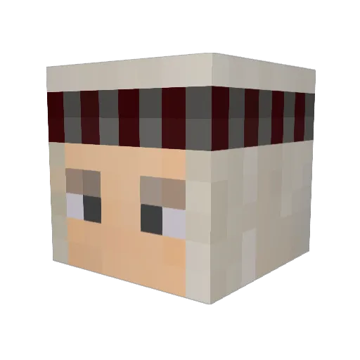 Argony1 Minecraft avatar head, 3D render