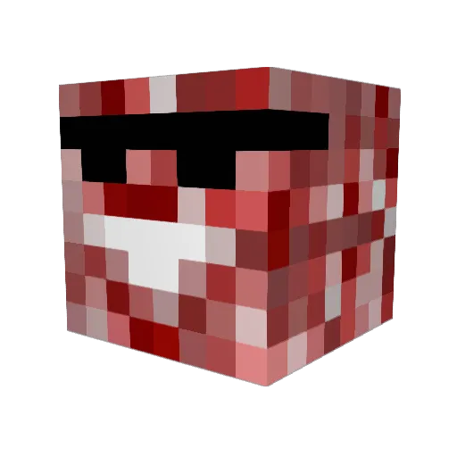 Argos101 Minecraft avatar head, 3D render
