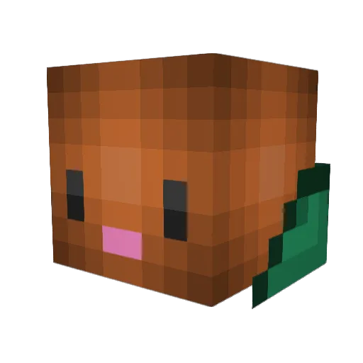 ArgosPanoptis Minecraft avatar head, 3D render