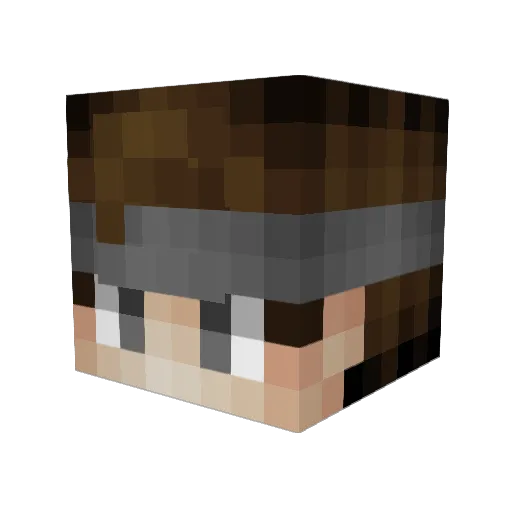 Argosnaut Minecraft avatar head, 3D render