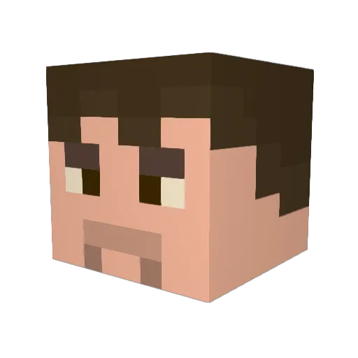 Arguswastaken Minecraft avatar head, 3D render