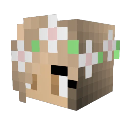 Arhayle Minecraft avatar head, 3D render