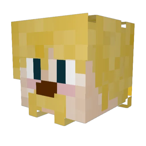 Arhocks Minecraft avatar head, 3D render