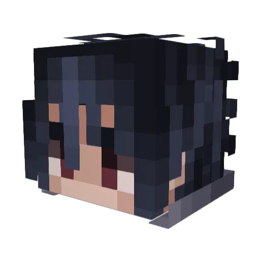 Ari23 Minecraft avatar head, 3D render