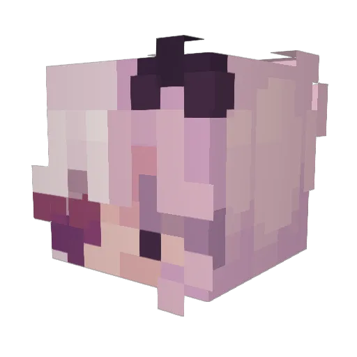 Ari4ever Minecraft avatar head, 3D render