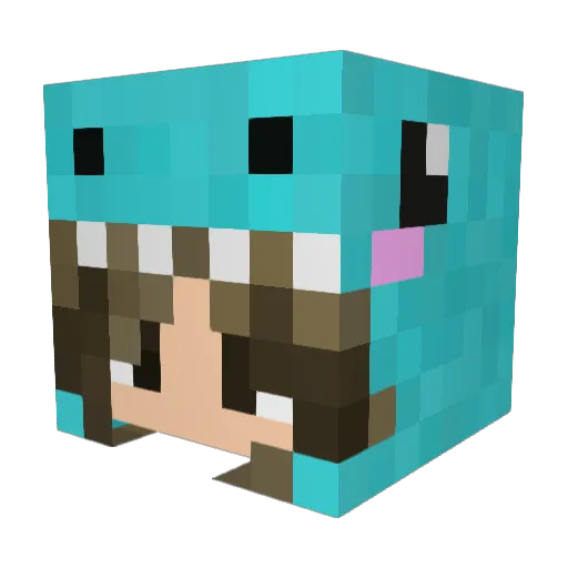 Ari715 Minecraft avatar head, 3D render