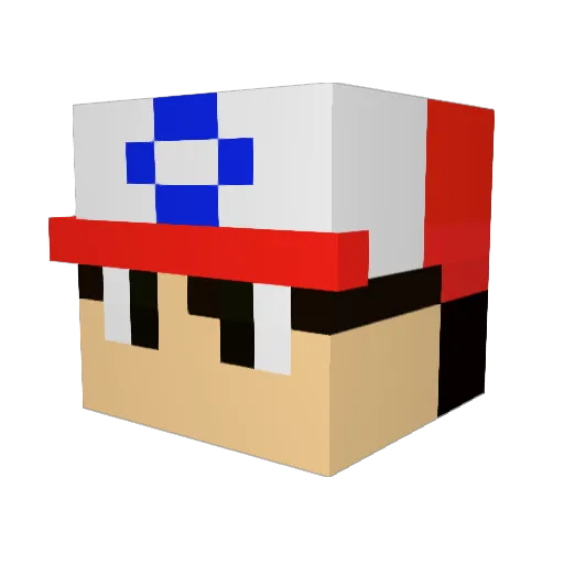 Ari731 Minecraft avatar head, 3D render