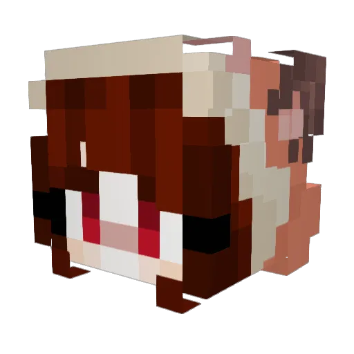 AriGang008 Minecraft avatar head, 3D render