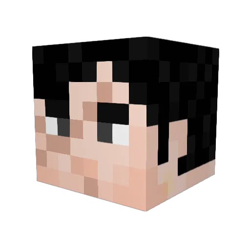 AriTurtle Minecraft avatar head, 3D render