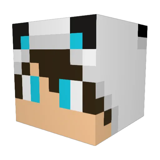AriXx1909 Minecraft avatar head, 3D render