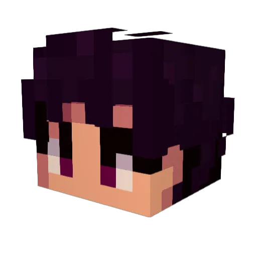 AriZonaIcedTe4 Minecraft avatar head, 3D render