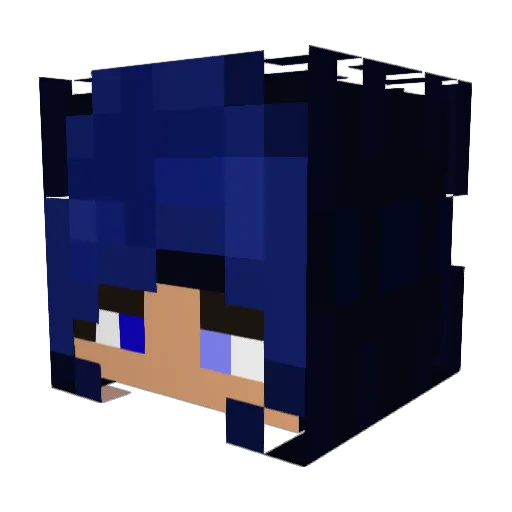 Ari_AHP Minecraft avatar head, 3D render