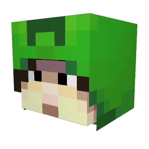 Ari_Bgra Minecraft avatar head, 3D render