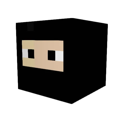 Ari_N Minecraft avatar head, 3D render