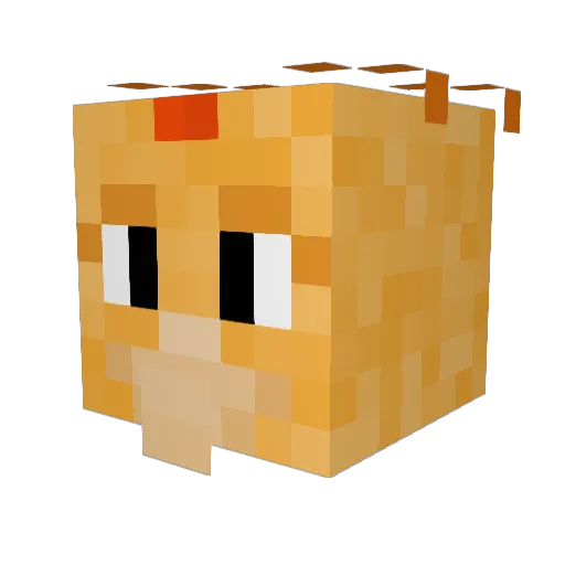 Ari_Phoenix Minecraft avatar head, 3D render