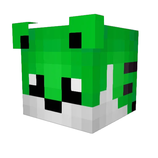 Ari_Sam Minecraft avatar head, 3D render
