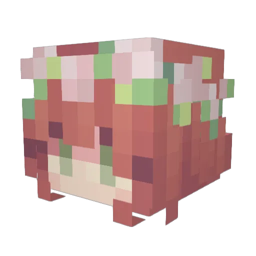 Aria0425 Minecraft avatar head, 3D render