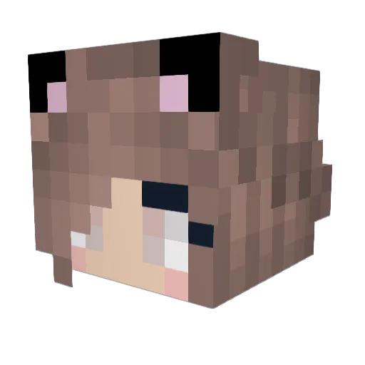 Aria131289 Minecraft avatar head, 3D render