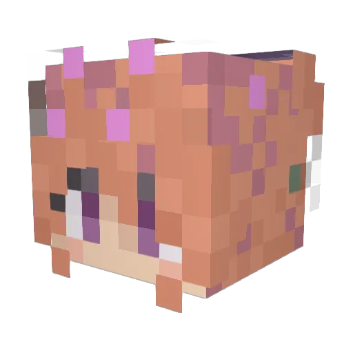 AriaArt Minecraft avatar head, 3D render