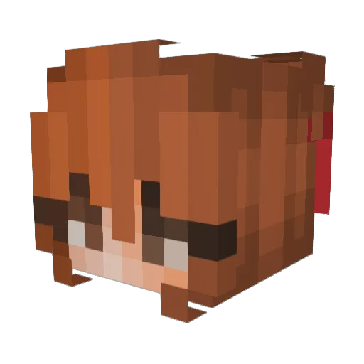 AriaKnights Minecraft avatar head, 3D render