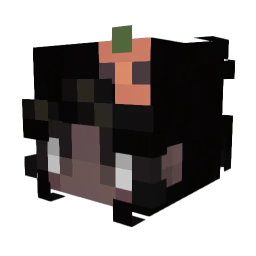 Aria_oxox Minecraft avatar head, 3D render