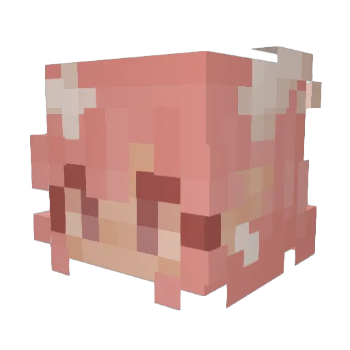 Ariadne1234 Minecraft avatar head, 3D render