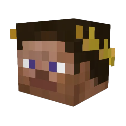 Arian2801 Minecraft avatar head, 3D render