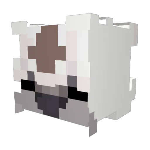 Ariana2637 Minecraft avatar head, 3D render