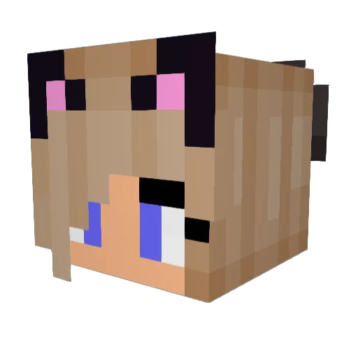 Ariana365 Minecraft avatar head, 3D render