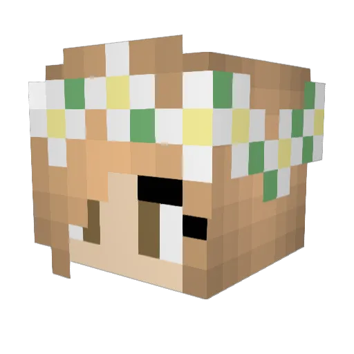 Ariana5678dance Minecraft avatar head, 3D render
