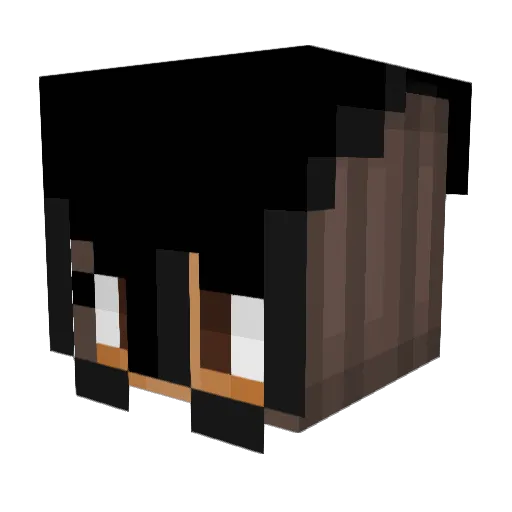 ArianaGrandeFAN Minecraft avatar head, 3D render