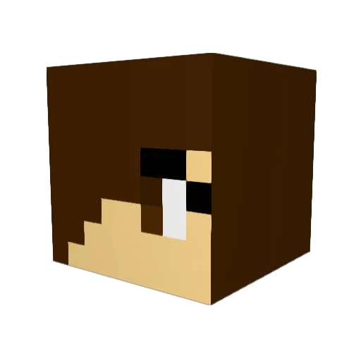 Ariana_2014 Minecraft avatar head, 3D render