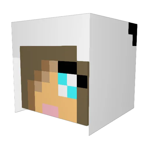 Arianaroo Minecraft avatar head, 3D render