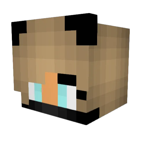 Arianna011 Minecraft avatar head, 3D render