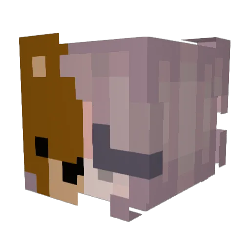 Arianrain Minecraft avatar head, 3D render