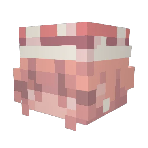 Ariasanaa Minecraft avatar head, 3D render