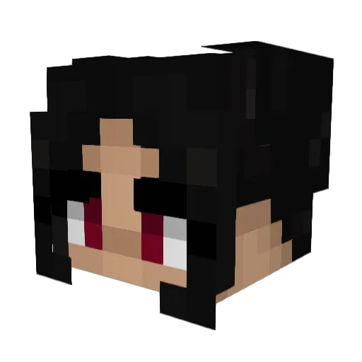 Ariastocrat Minecraft avatar head, 3D render
