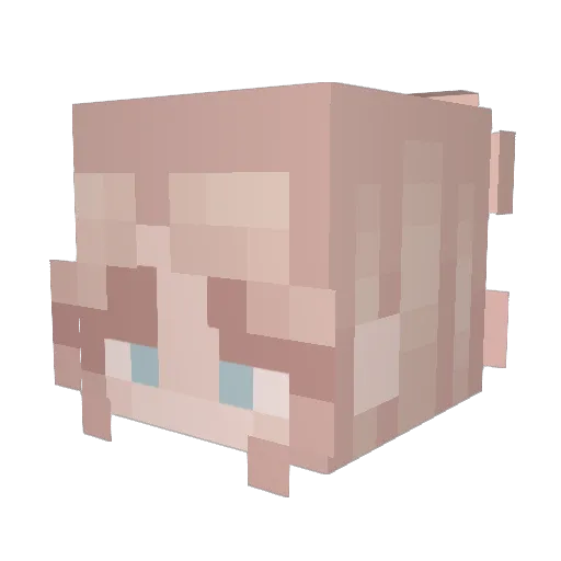Ariawolf4277 Minecraft avatar head, 3D render
