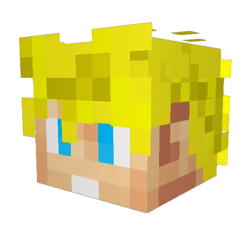 Ariboh Minecraft avatar head, 3D render