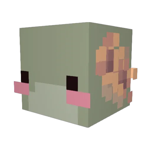 AridLettuce8123 Minecraft avatar head, 3D render