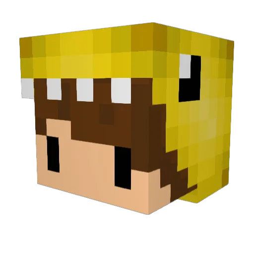 Aridas Minecraft avatar head, 3D render