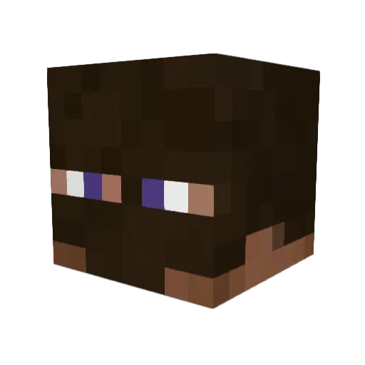 Arieb123 Minecraft avatar head, 3D render