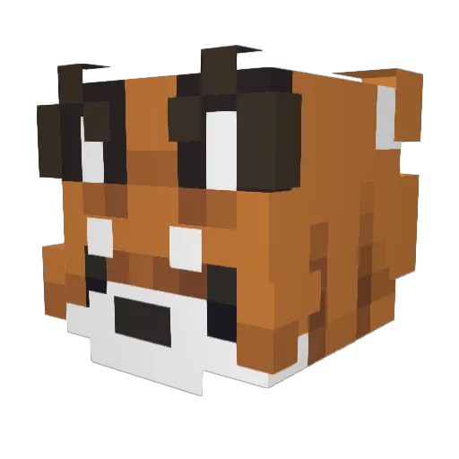 Ariee16 Minecraft avatar head, 3D render