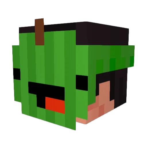 Ariel3en1 Minecraft avatar head, 3D render